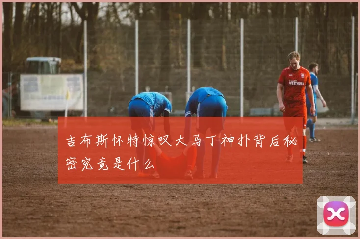 吉布斯怀特惊叹大马丁神扑背后秘密究竟是什么